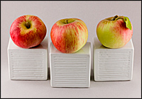 Sierra Beauty Apples